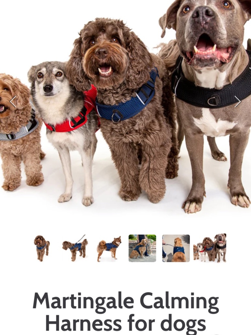 Martingale Calming Harness for Dogs - Black